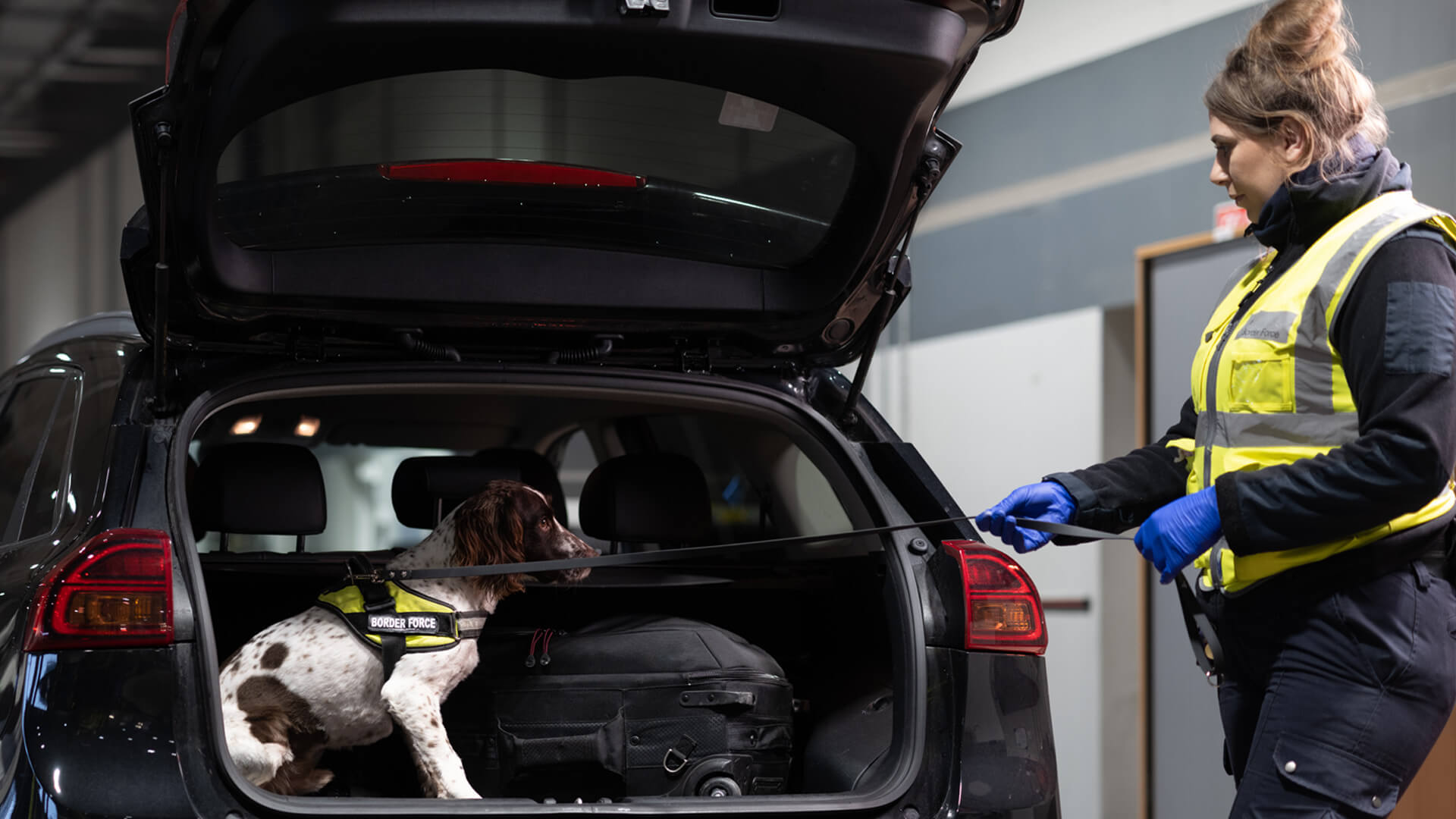 A female Border Force officer takes a detection dog from a car